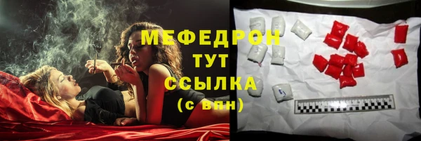 шишки Арсеньев
