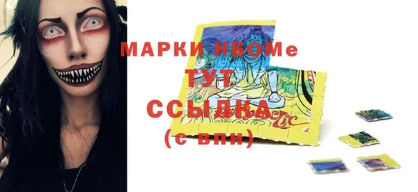шишки Арсеньев