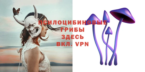 МДПВ Аркадак