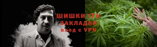 шишки Арсеньев