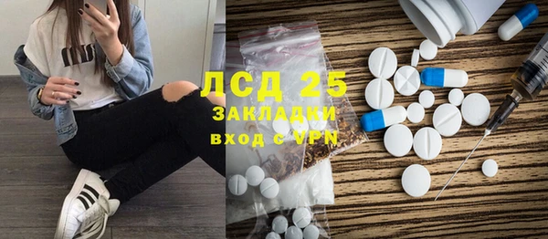шишки Арсеньев