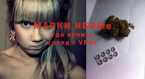 шишки Арсеньев
