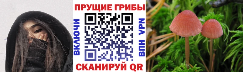 Псилоцибиновые грибы Magic Shrooms  hydra как войти  Партизанск 